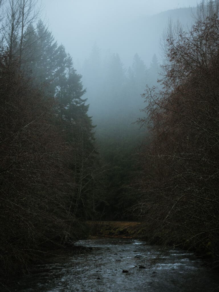 a dark forest overcast clouds rolling in river